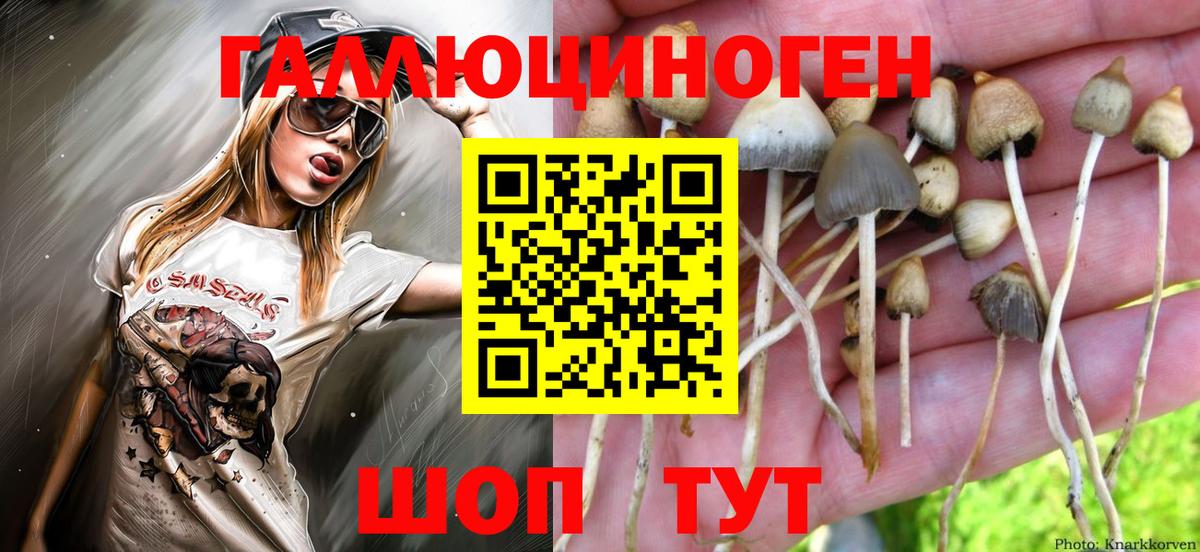 Псилоцибиновые грибы ЛСД Абинск